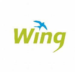 Wing